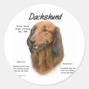 Historikdesign för Dachshund (långhårig) Runt Klistermärke