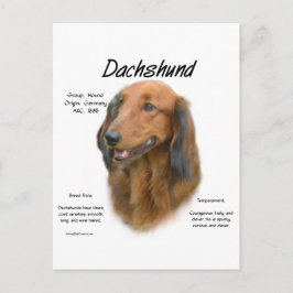 Historikdesign för Dachshund (långhårig) Vykort