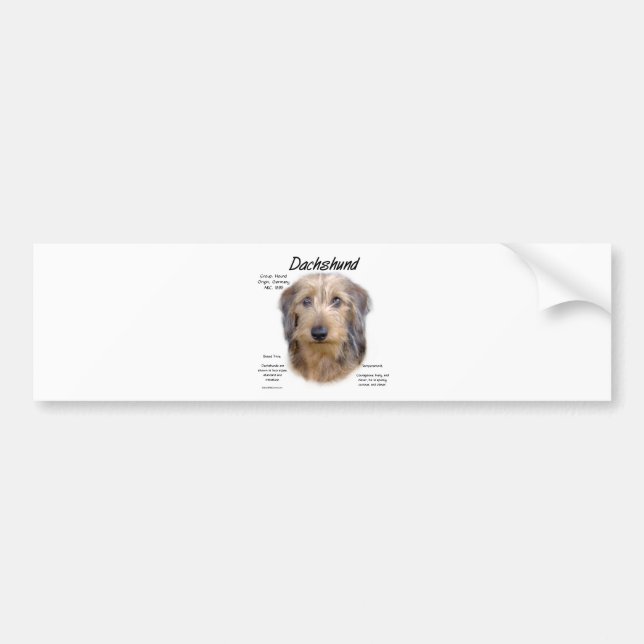 Historikdesign för Dachshund (trådhår) Bildekal (Framsidan)