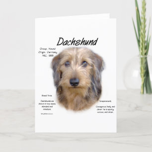 Historikdesign för Dachshund (trådhår) Helgkort