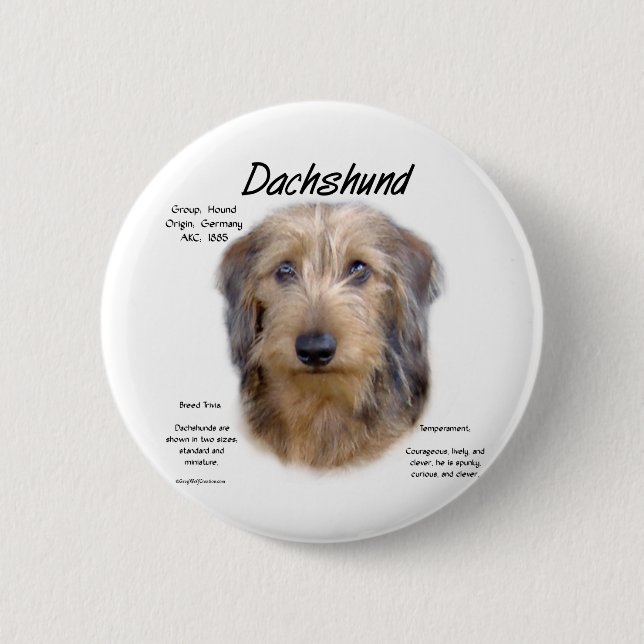 Historikdesign för Dachshund (trådhår) Knapp (Framsida)