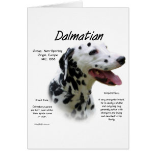 Historikdesign för Dalmatien (blk) Hälsningskort