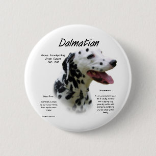 Historikdesign för Dalmatien (blk) Knapp