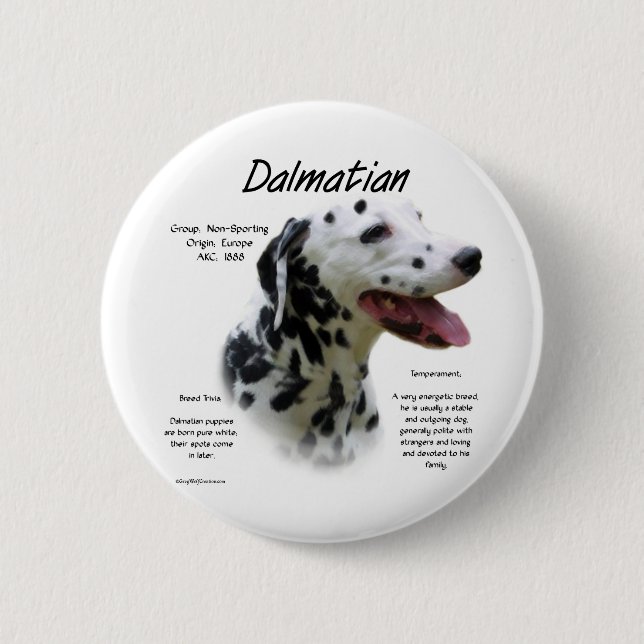 Historikdesign för Dalmatien (blk) Knapp (Framsida)