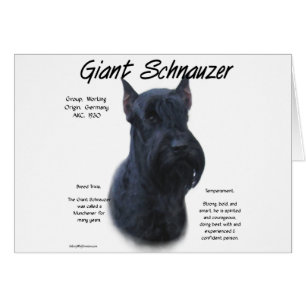 Historikdesign för Giant Schnauzer Hälsningskort