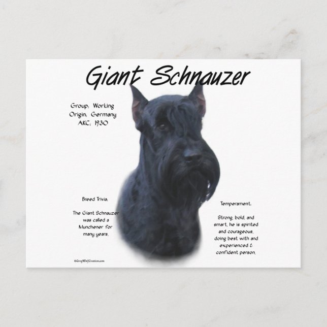 Historikdesign för Giant Schnauzer Vykort (Framsida)