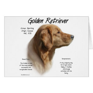Historikdesign för Golden Retriever Hälsningskort