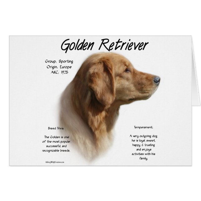 Historikdesign för Golden Retriever Hälsningskort (Framsidan Horizontal)