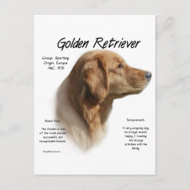 Historikdesign för Golden Retriever Vykort