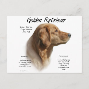 Historikdesign för Golden Retriever Vykort