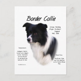historikdesign för Gräns Collie Vykort