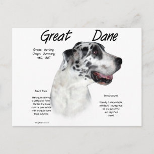 Historikdesign för Harlequin Great dane Vykort
