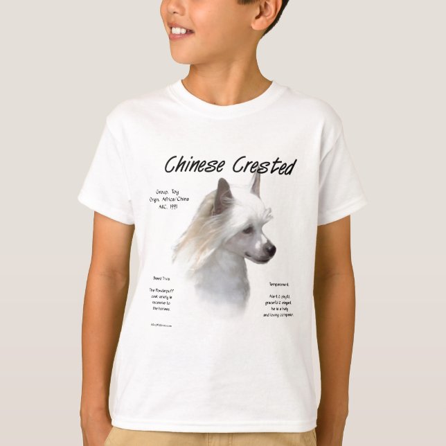 Historikdesign för kinesiska kröda (strömsparpuff) tee (Framsida)