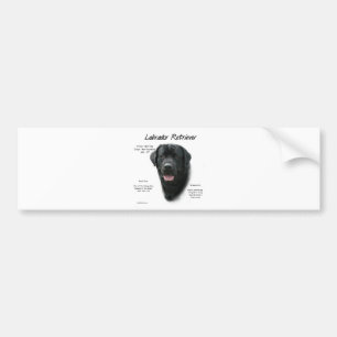 Historikdesign för Labrador Retriever (blk) Bildekal