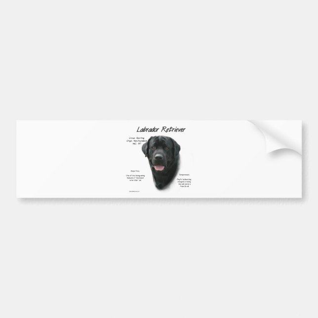 Historikdesign för Labrador Retriever (blk) Bildekal (Framsidan)