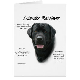 Historikdesign för Labrador Retriever (blk) Hälsningskort