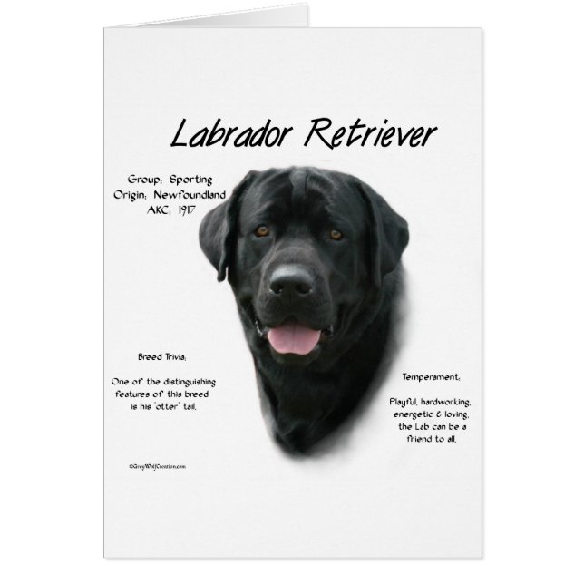 Historikdesign för Labrador Retriever (blk) Hälsningskort (Framsidan)