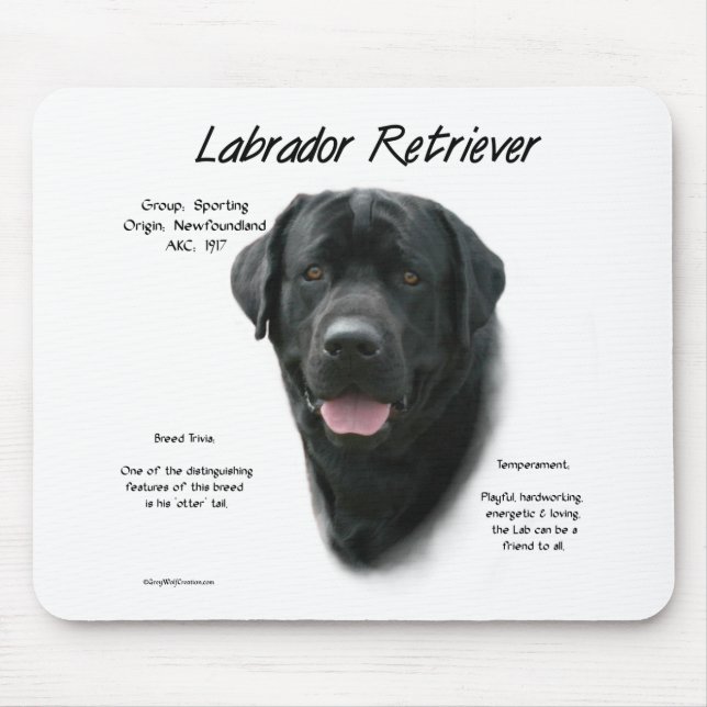 Historikdesign för Labrador Retriever (blk) Musmatta (Framsidan)