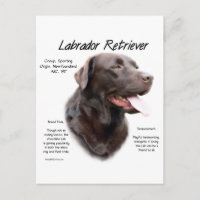 Historikdesign för Labrador Retriever (choklad)