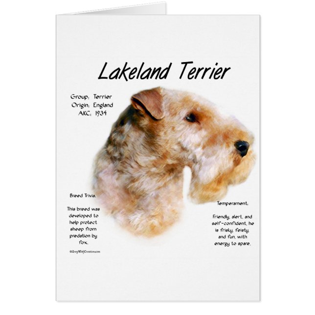 Historikdesign för Lakeland Terrier Hälsningskort (Framsidan)