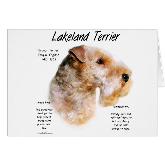 Historikdesign för Lakeland Terrier Hälsningskort (Framsidan Horizontal)