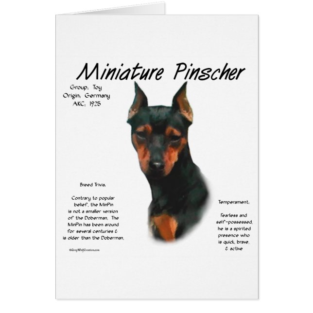 Historikdesign för miniatyr Pinscher (blk/rost) Hälsningskort (Framsidan)