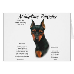 Historikdesign för miniatyr Pinscher (blk/rost) Hälsningskort