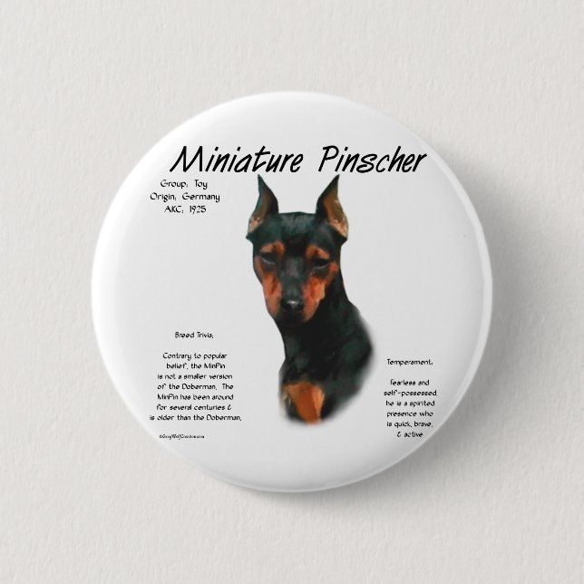 Historikdesign för miniatyr Pinscher (blk/rost) Knapp (Framsida)