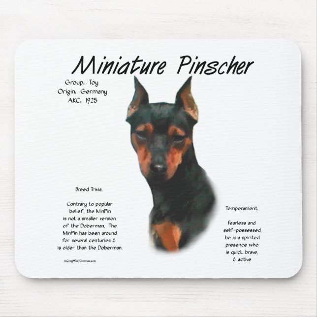 Historikdesign för miniatyr Pinscher (blk/rost) Musmatta (Framsidan)