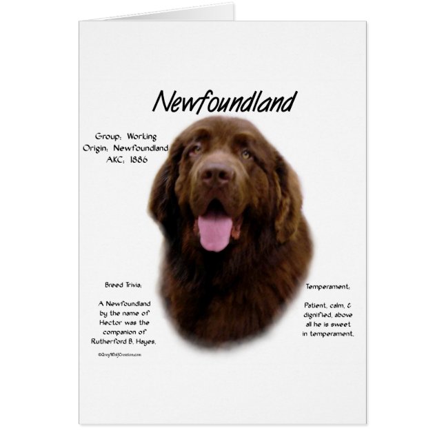 Historikdesign för Newfoundland (Brown) Hälsningskort (Framsidan)
