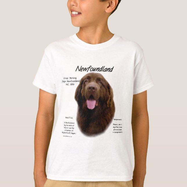Historikdesign för Newfoundland (Brown) Tröja (Framsida)