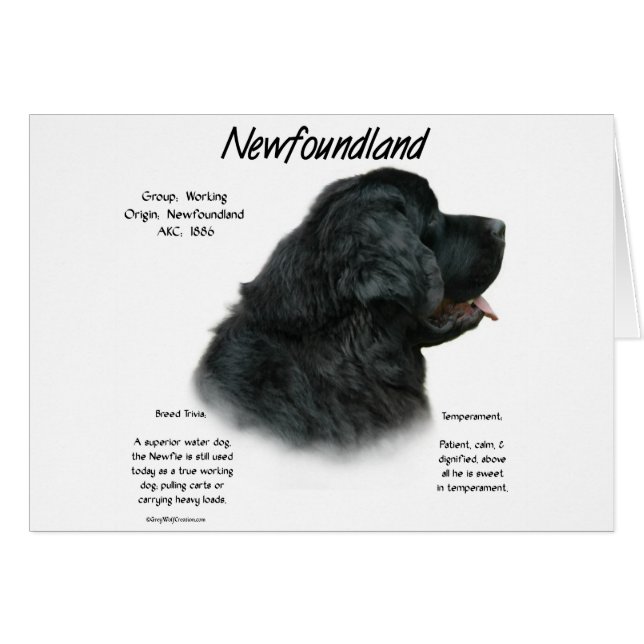 Historikdesign för Newfoundland (svart) Hälsningskort (Framsidan Horizontal)