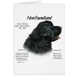 Historikdesign för Newfoundland (svart) Hälsningskort