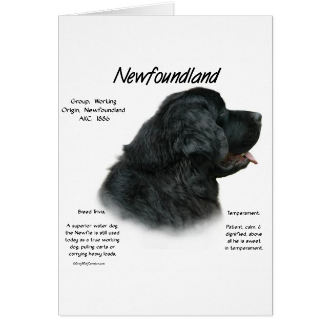 Historikdesign för Newfoundland (svart) Hälsningskort (Framsidan)