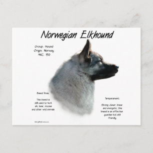 Historikdesign för norska elkhound vykort