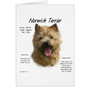 Historikdesign för norwich-terrier hälsningskort