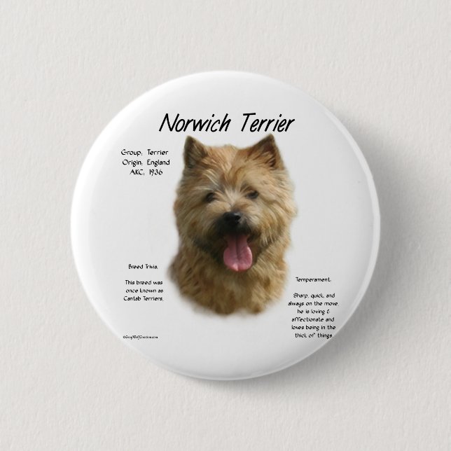 Historikdesign för norwich-terrier knapp (Framsida)