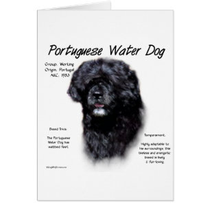 Historikdesign för portugisiska Vatten Hund Hälsningskort