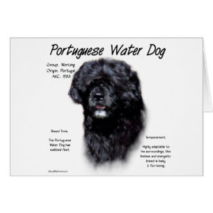 Historikdesign för portugisiska Vatten Hund Hälsningskort