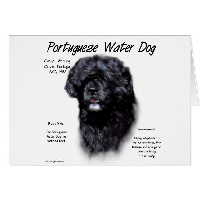 Historikdesign för portugisiska Vatten Hund Hälsningskort (Framsidan Horizontal)