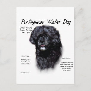 Historikdesign för portugisiska Vatten Hund Vykort