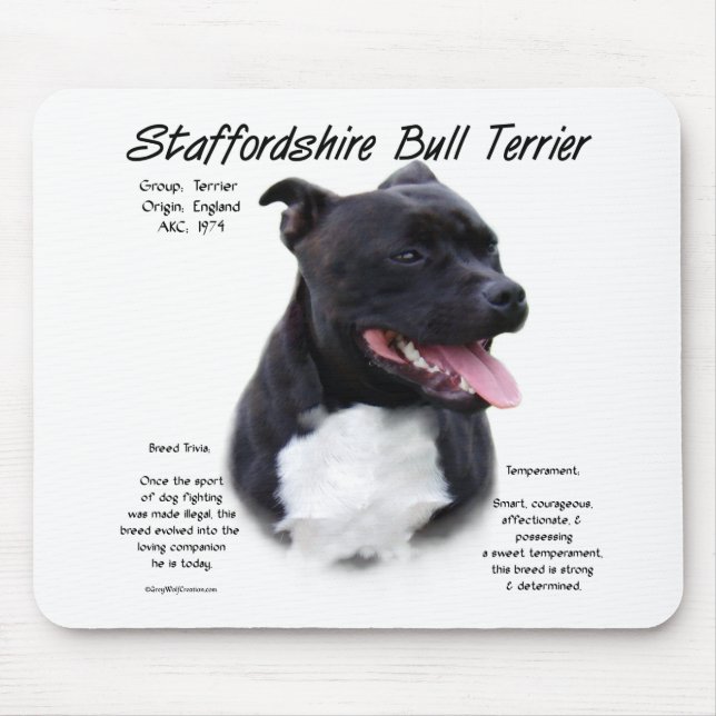Historikdesign för Terrier-historiken i Stviddshir Musmatta (Framsidan)