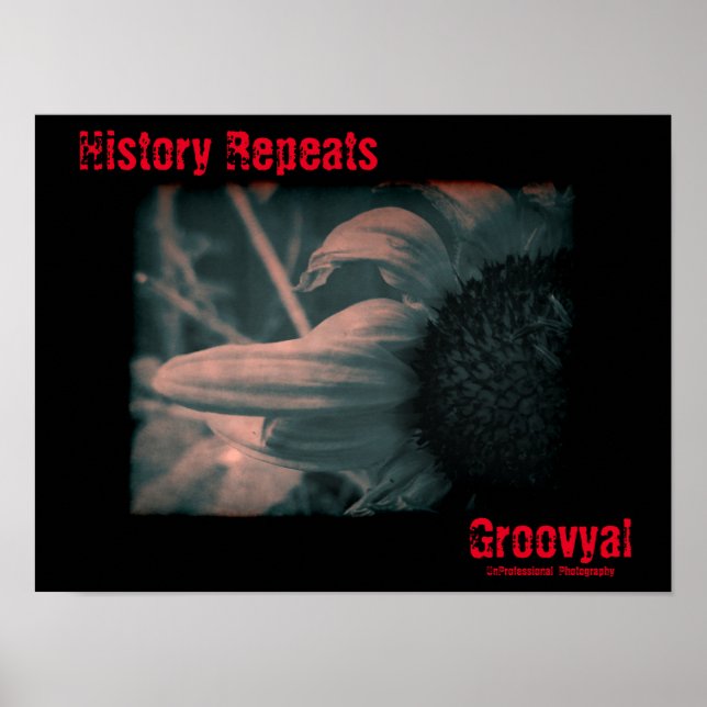 Historikupprepningar Poster (Framsidan)