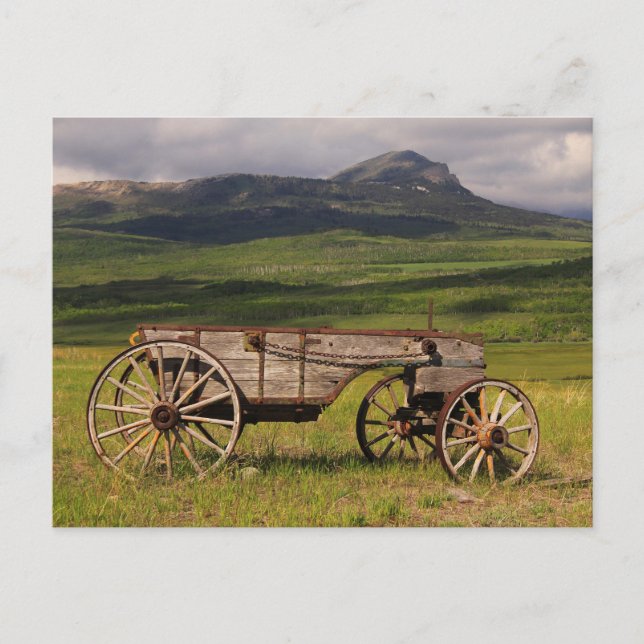 Historikvagn Lämnat i en betesmark Vykort (Framsida)