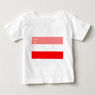 Historisk assyrisk flagga (för WWI) Tee Shirt