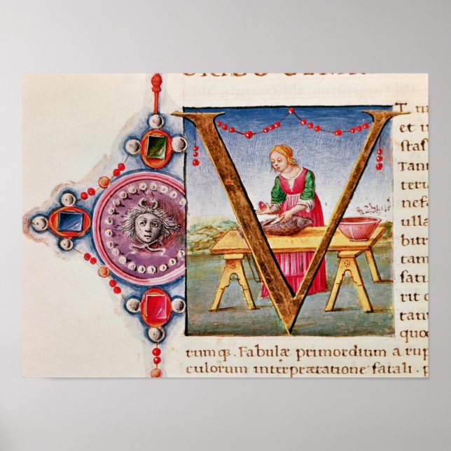 Historisk inledande V-bild Poster (Framsidan)