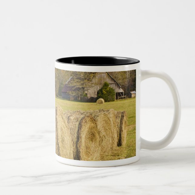 Historisk lantgård i buffelmedborgarefloden, Två-Tonad mugg (Höger)