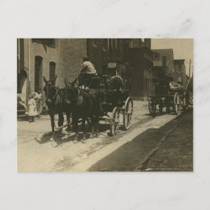 Historiska Baltimore: Avverkningar pekar i 1910 Vykort