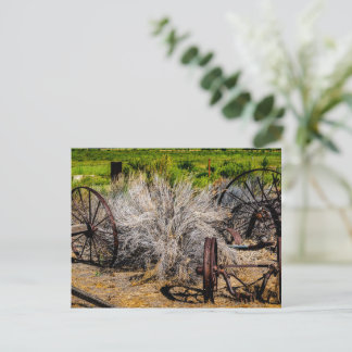 Historiska Ranchhjul Glansiga Vykort