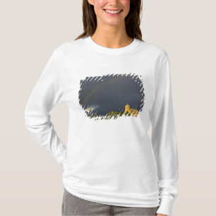 Historiska St Ignatius Mission i St Ignatius, T-shirt